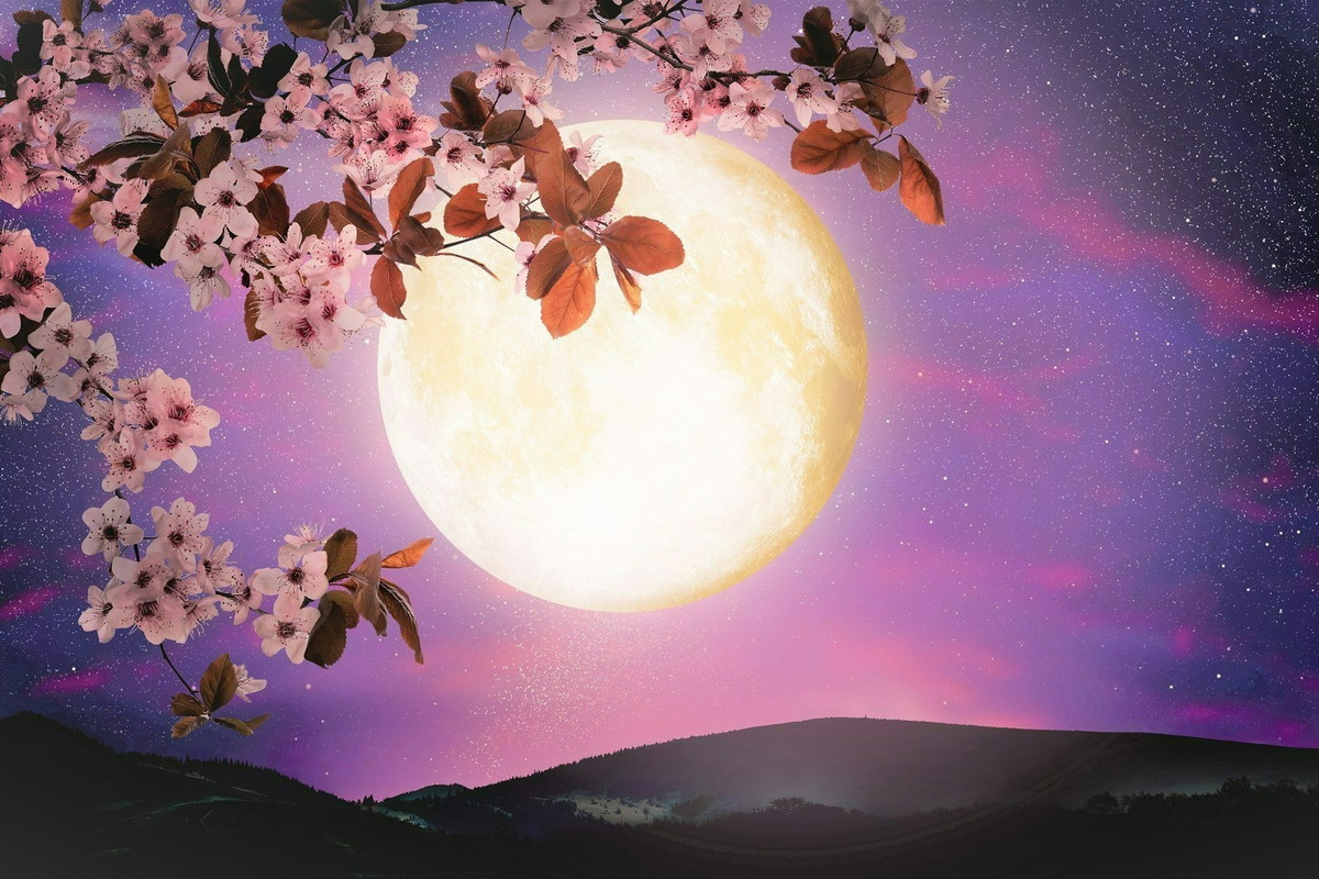 Zrób to w Pełnię Księżyca, a przyciągniesz obfitość do swojego życia. Jest tylko 1 haczyk