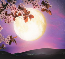 Zrób to w Pełnię Księżyca, a przyciągniesz obfitość do swojego życia. Jest tylko 1 haczyk