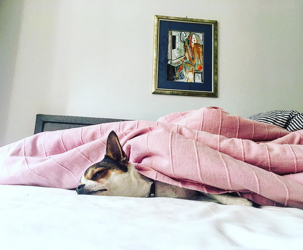 Jak mieszka Marta Kaczyńska?