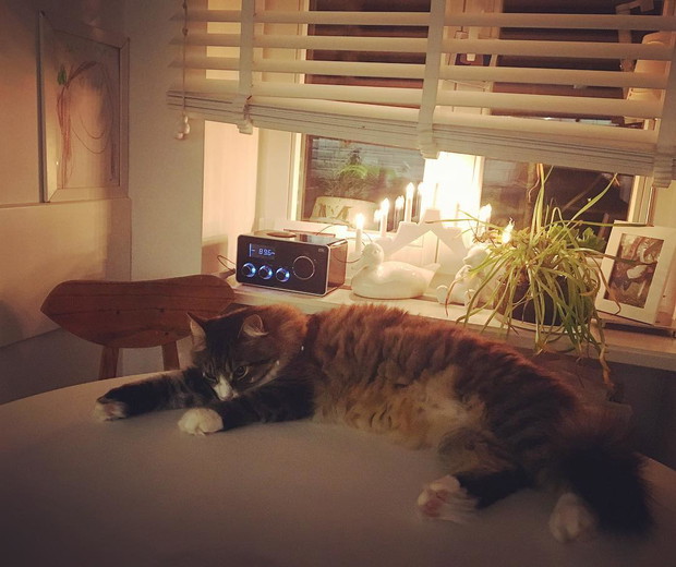 Jak mieszka Marta Kaczyńska?