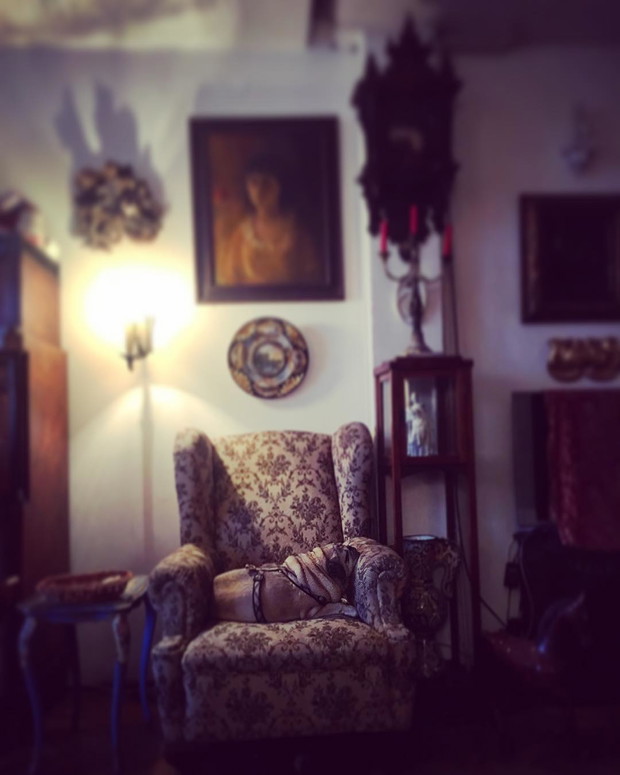 Jak mieszka Marta Kaczyńska?