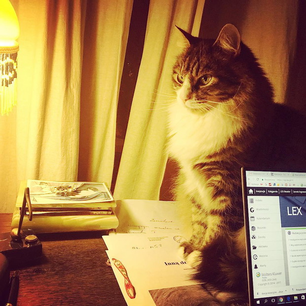 Jak mieszka Marta Kaczyńska?