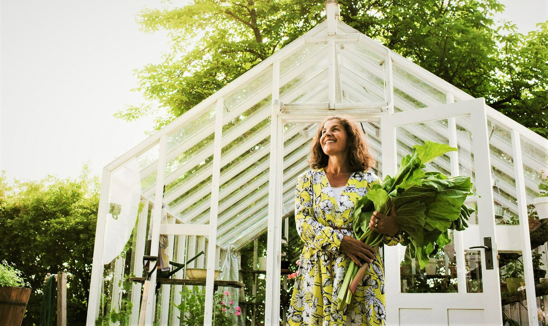 Sen o tej majowej roślinie to pomyślna wróżba dla każdego. Otrzymasz jedną z 3 dobrych wieści