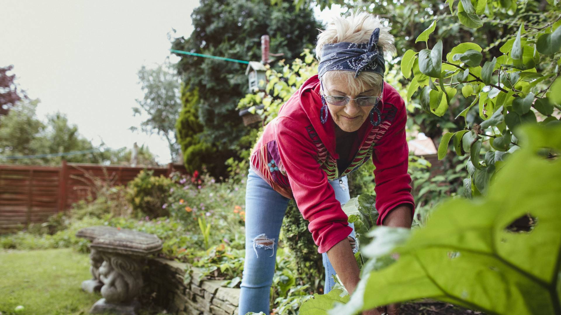 Pod żadnym pozorem nie sadź tego warzywa w czwartek. Inaczej cały trud pójdzie w piach