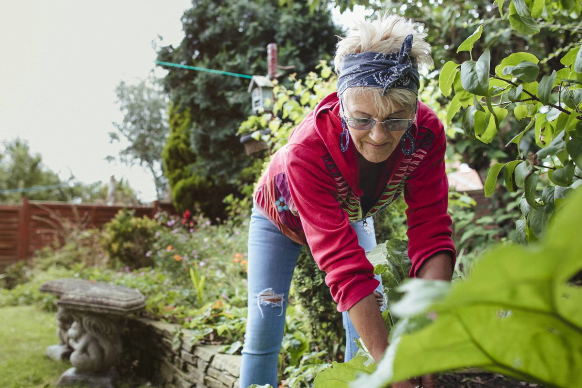 Pod żadnym pozorem nie sadź tego warzywa w czwartek. Inaczej cały trud pójdzie w piach