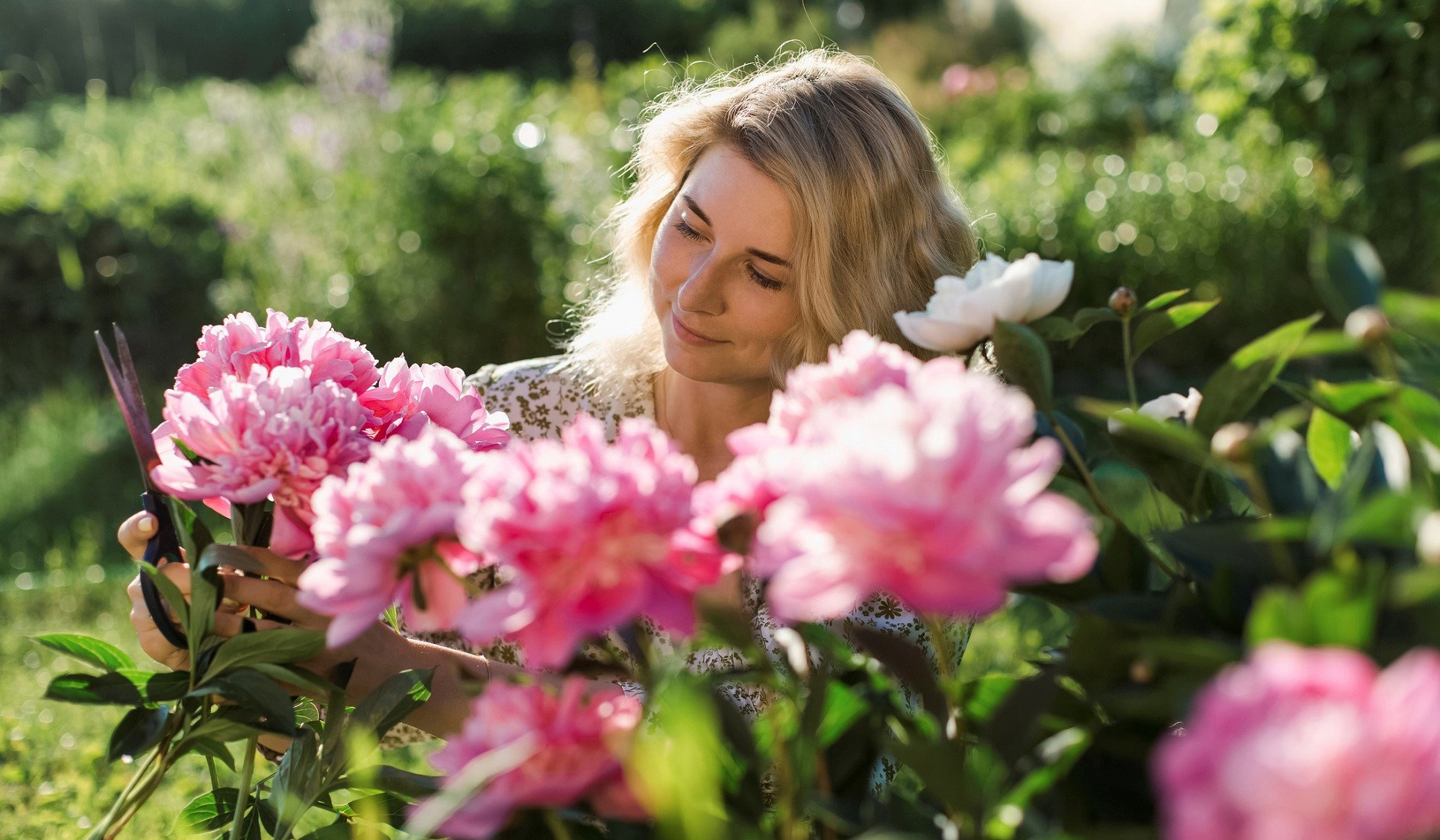 Ten królewski kwiat najlepiej wyraża miłość i czułość. Uważaj, nie jest to róża