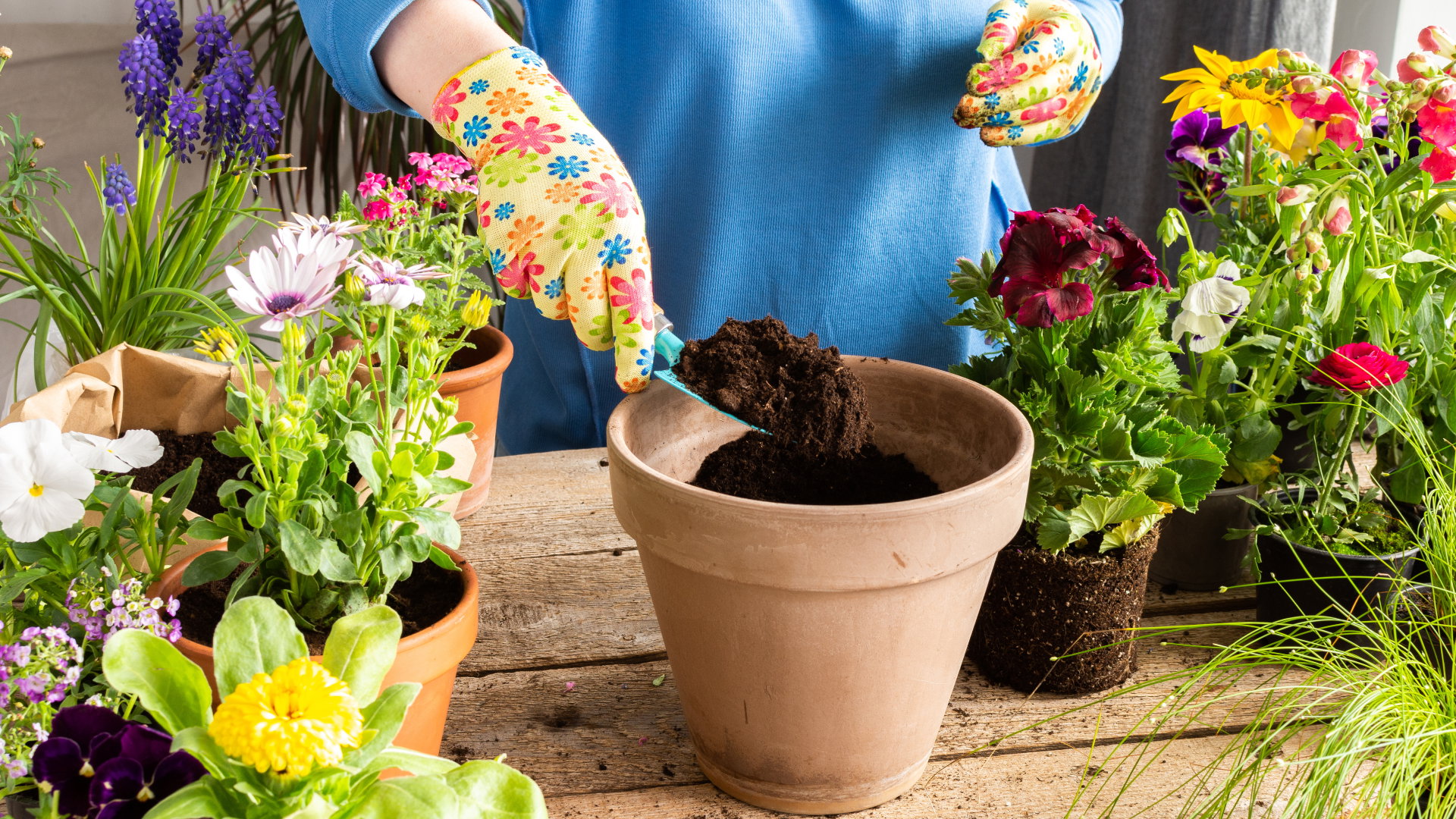 Ten kolor kwiatów jest pechowy. Przyciągnie kłótnie i zdrady do twojego domu