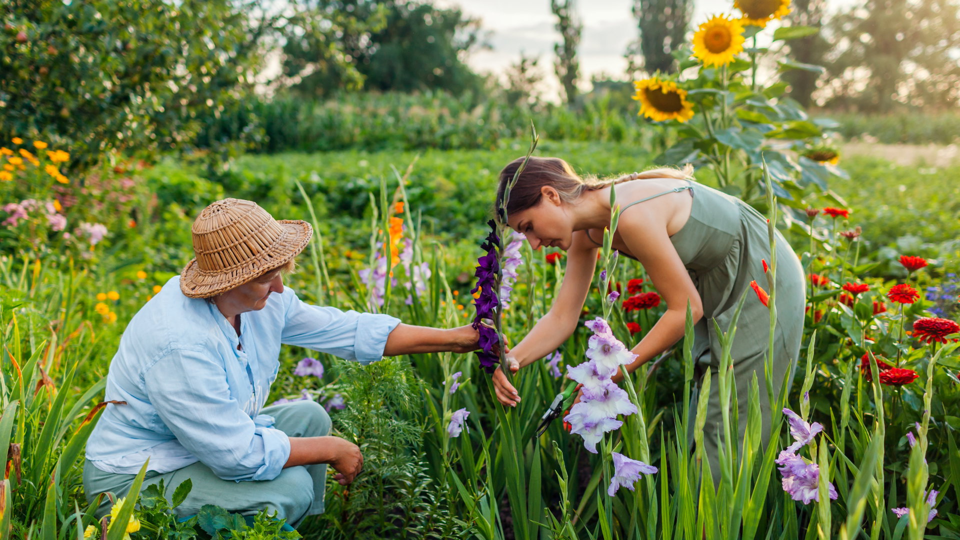 Koniecznie zasadź ten kwiat do końca maja. Przyniesie ci szczęście w miłości