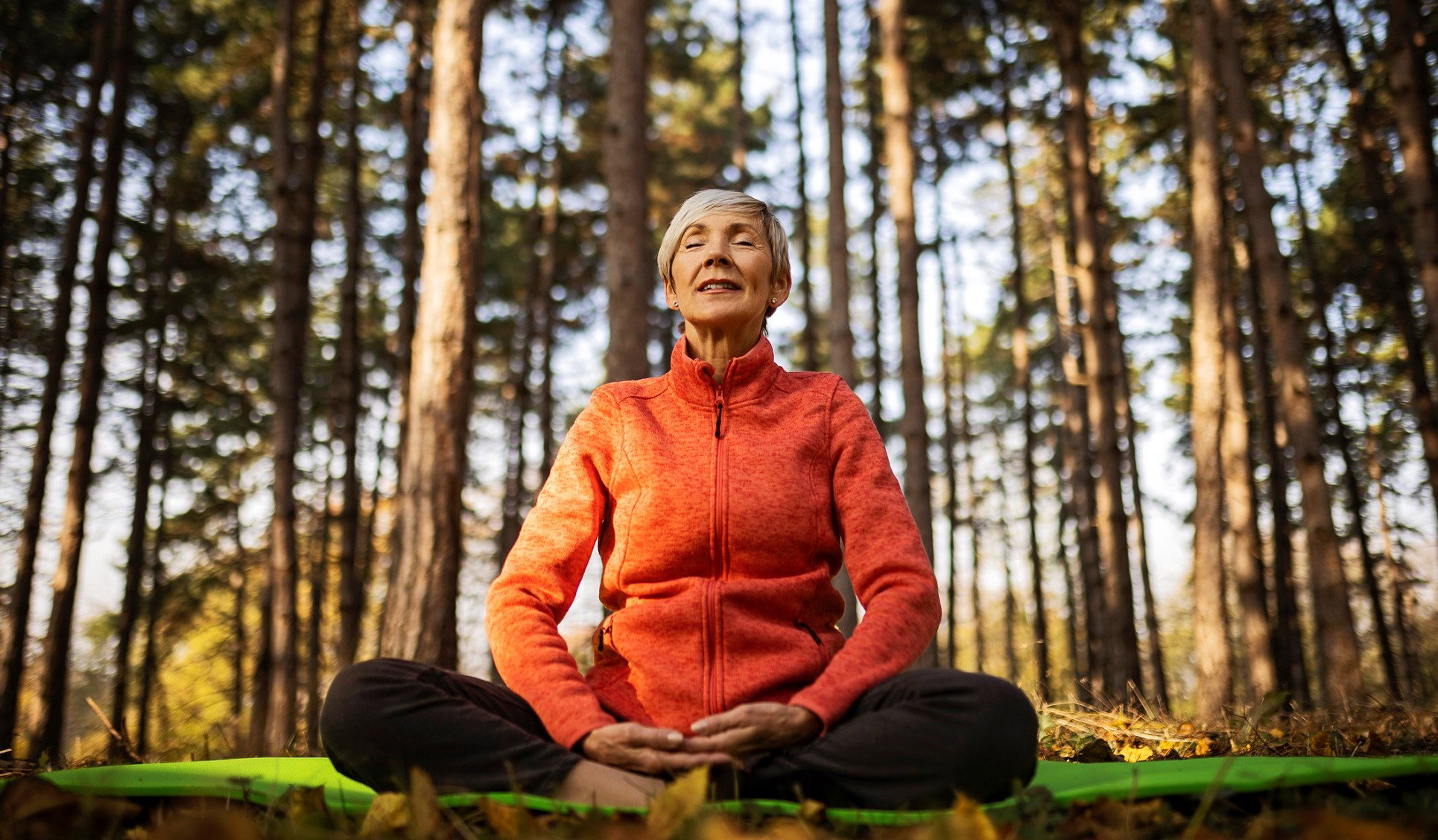 Leśna wróżba wskaże ci prawdę. Skutecznie wykrywa kłamstwa i krętaczy