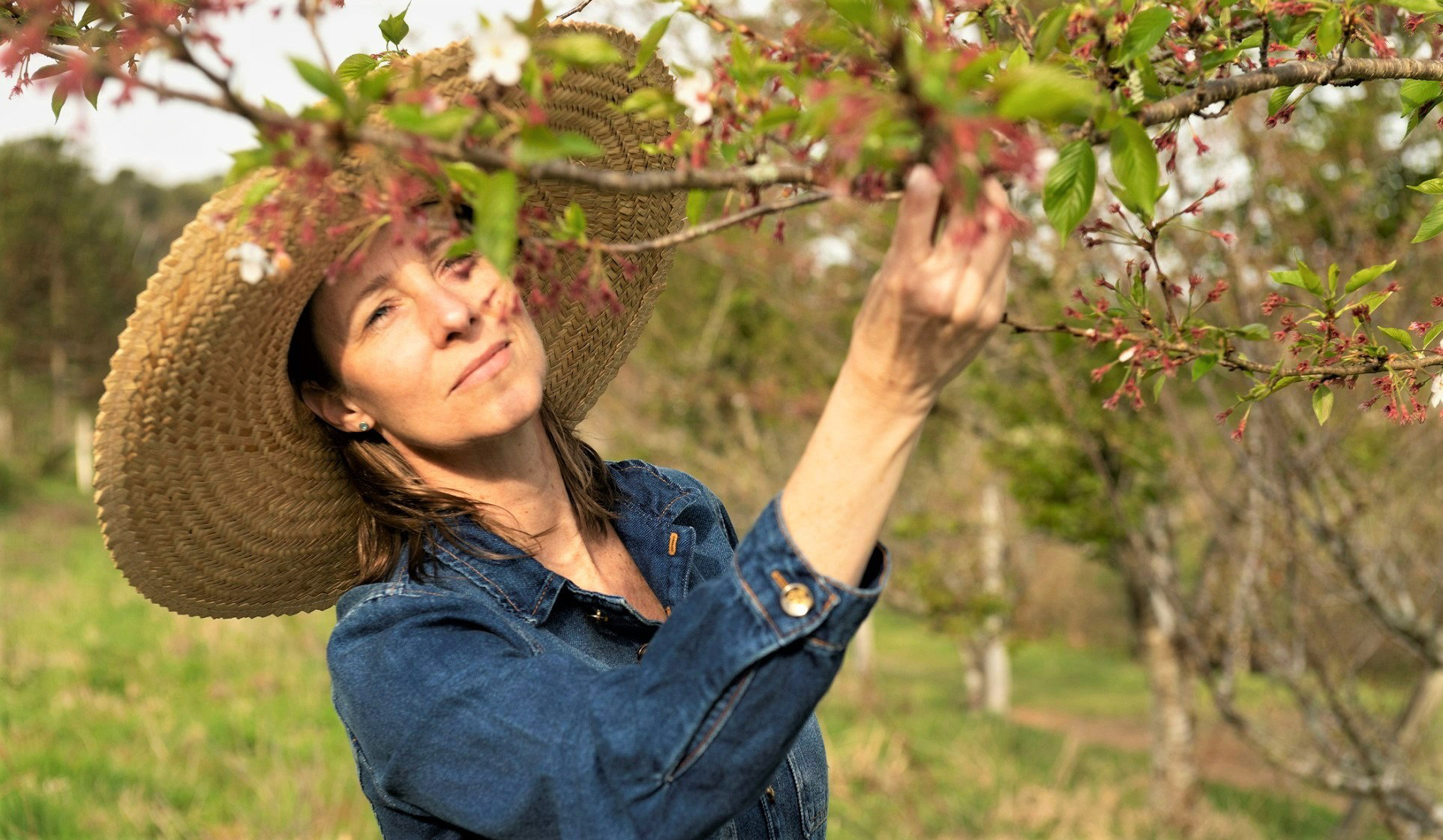 Drzewo dobrobytu wspiera bogactwo i miłość. Skorzystasz z jego mocy tylko pod 1 warunkiem