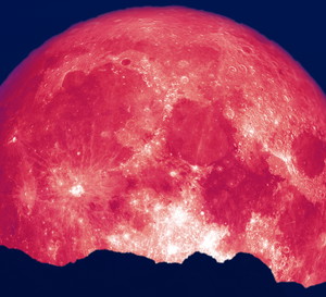 Pełnia Księżyca czerwiec 2023: kiedy ukaże się Truskawkowy Księżyc? Jak wpłynie na nas pełnia Księżyca w Strzelcu?