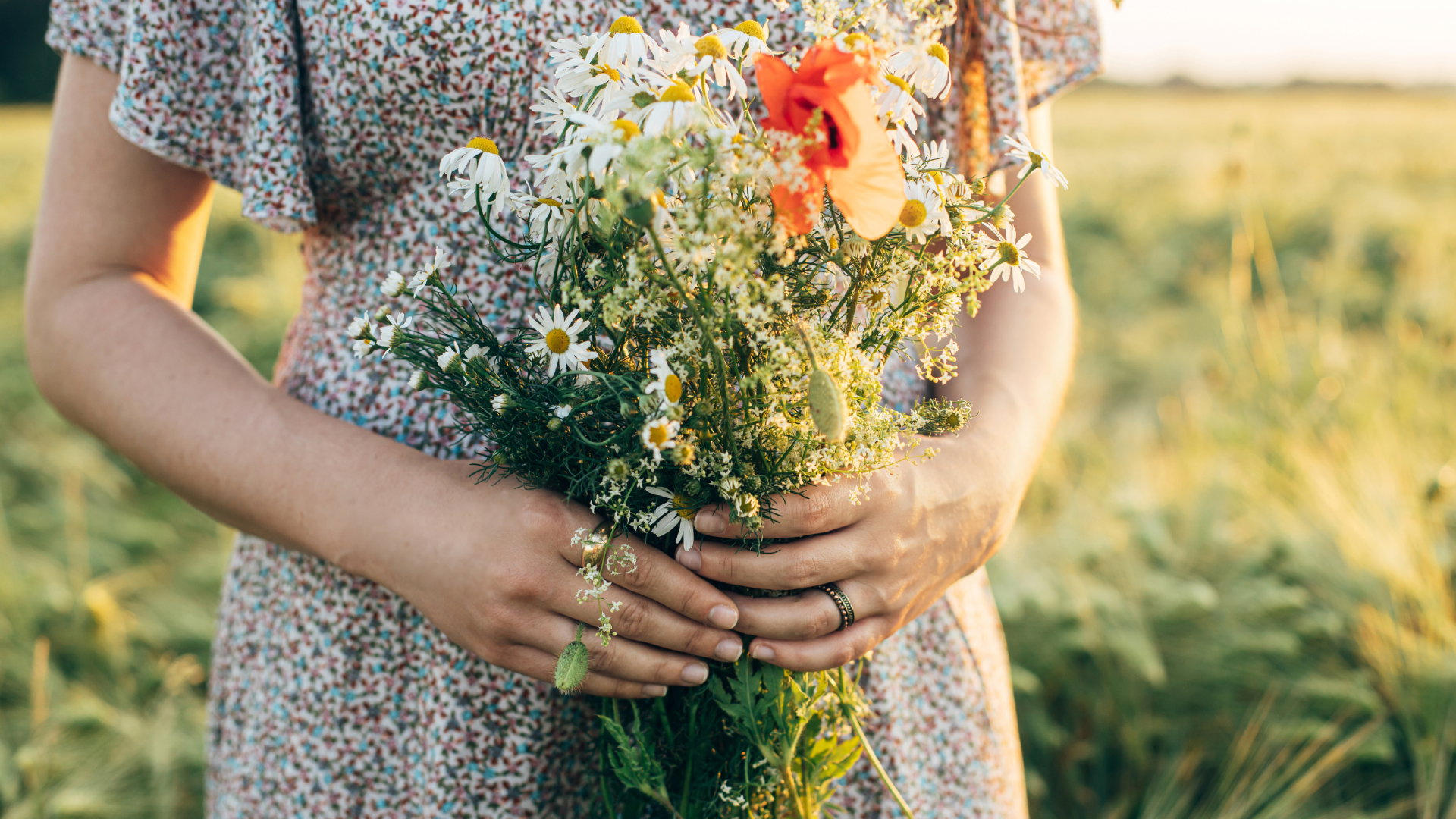 Sprawdź, czy ukochany odwzajemnia twoje uczucia. Ten wiosenny kwiat wskaże ci prawdę