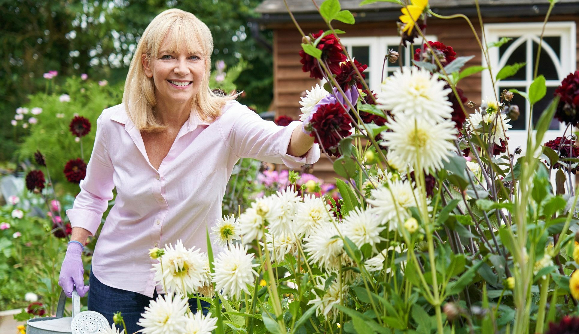 Ta 1 roślina przyciąga pieniądze jak magnes. Polacy uwielbiają ją sadzić