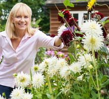 Ta 1 roślina przyciąga pieniądze jak magnes. Polacy uwielbiają ją sadzić
