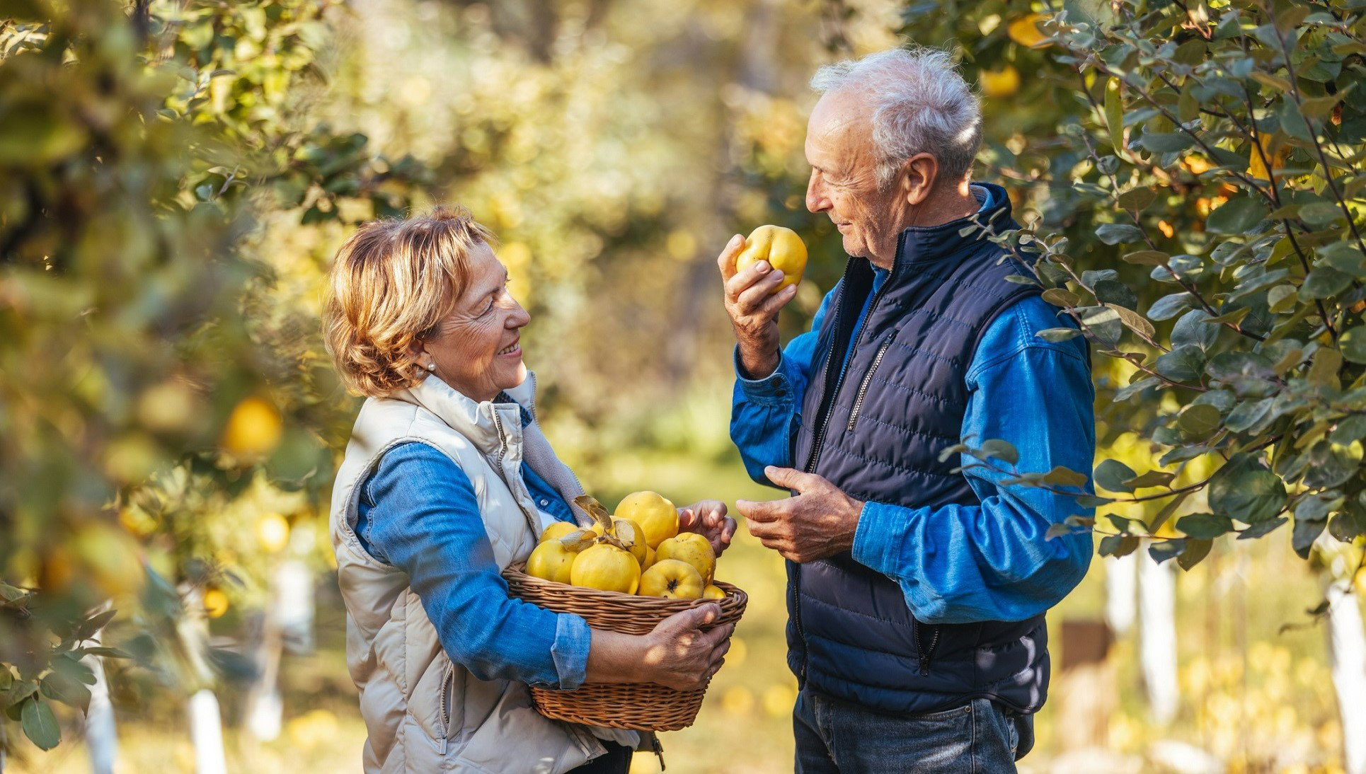 To popularne drzewo zapewnia małżeńskie szczęście. Ma też inne, cenne zalety