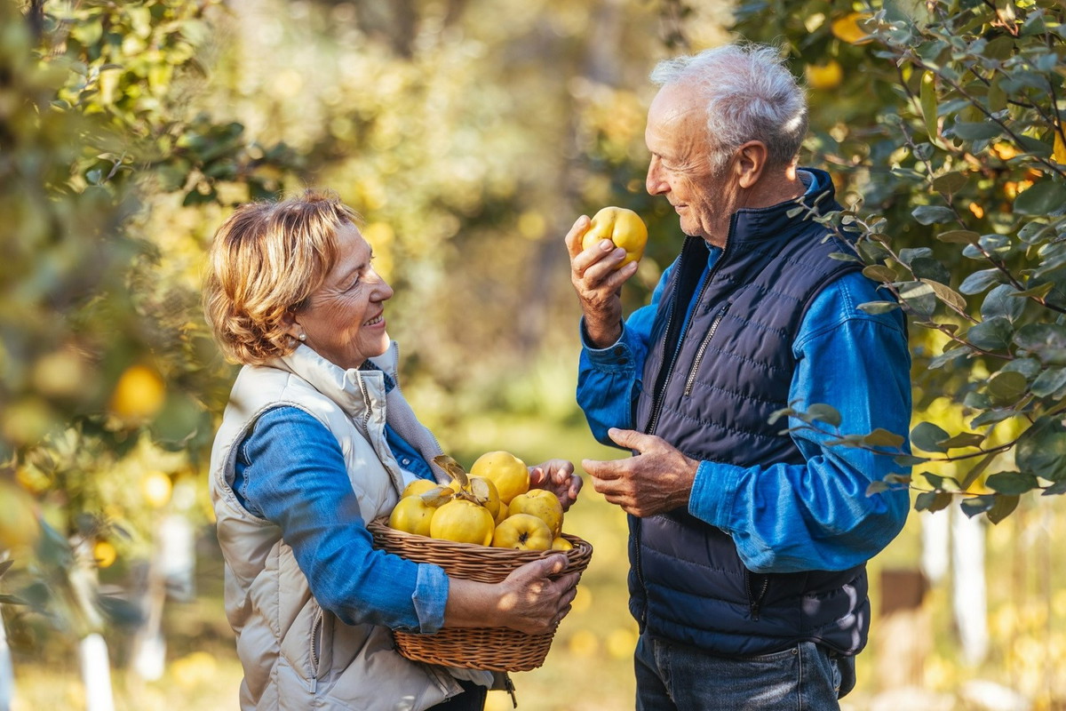 To popularne drzewo zapewnia małżeńskie szczęście. Ma też inne, cenne zalety