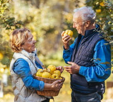 To popularne drzewo zapewnia małżeńskie szczęście. Ma też inne, cenne zalety