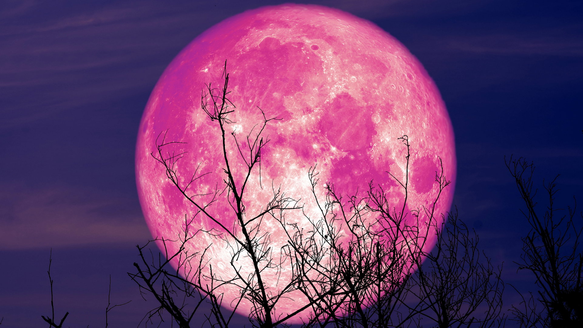 Horoskop na pełnię Truskawkowego Księżyca w czerwcu 2023