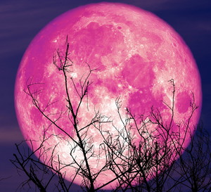 Horoskop na pełnię Truskawkowego Księżyca w czerwcu 2023