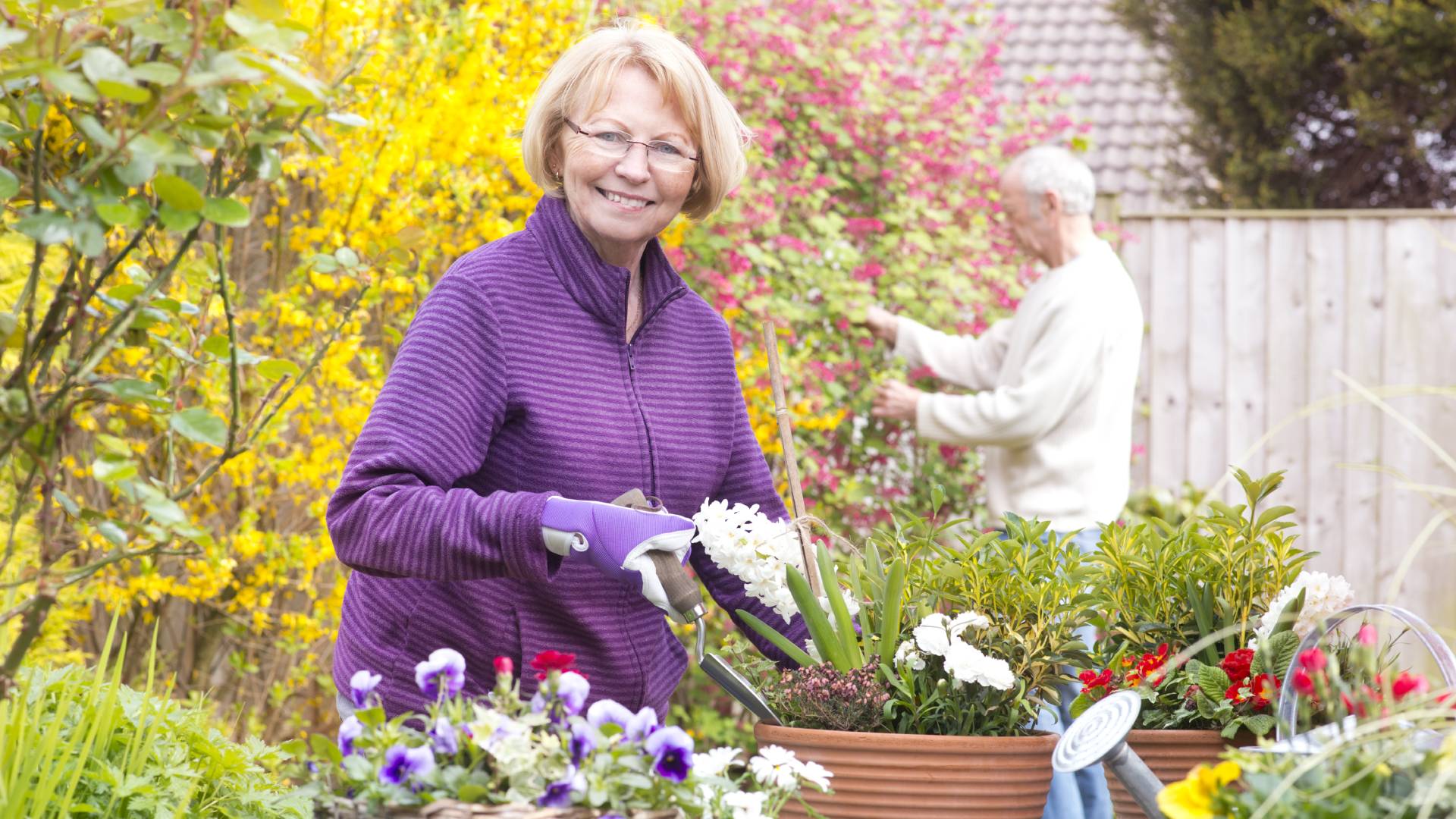 Rytuał z kwiatów azalii na bajońskie sumy. To dlatego Polki uwielbiają go sadzić w ogrodzie