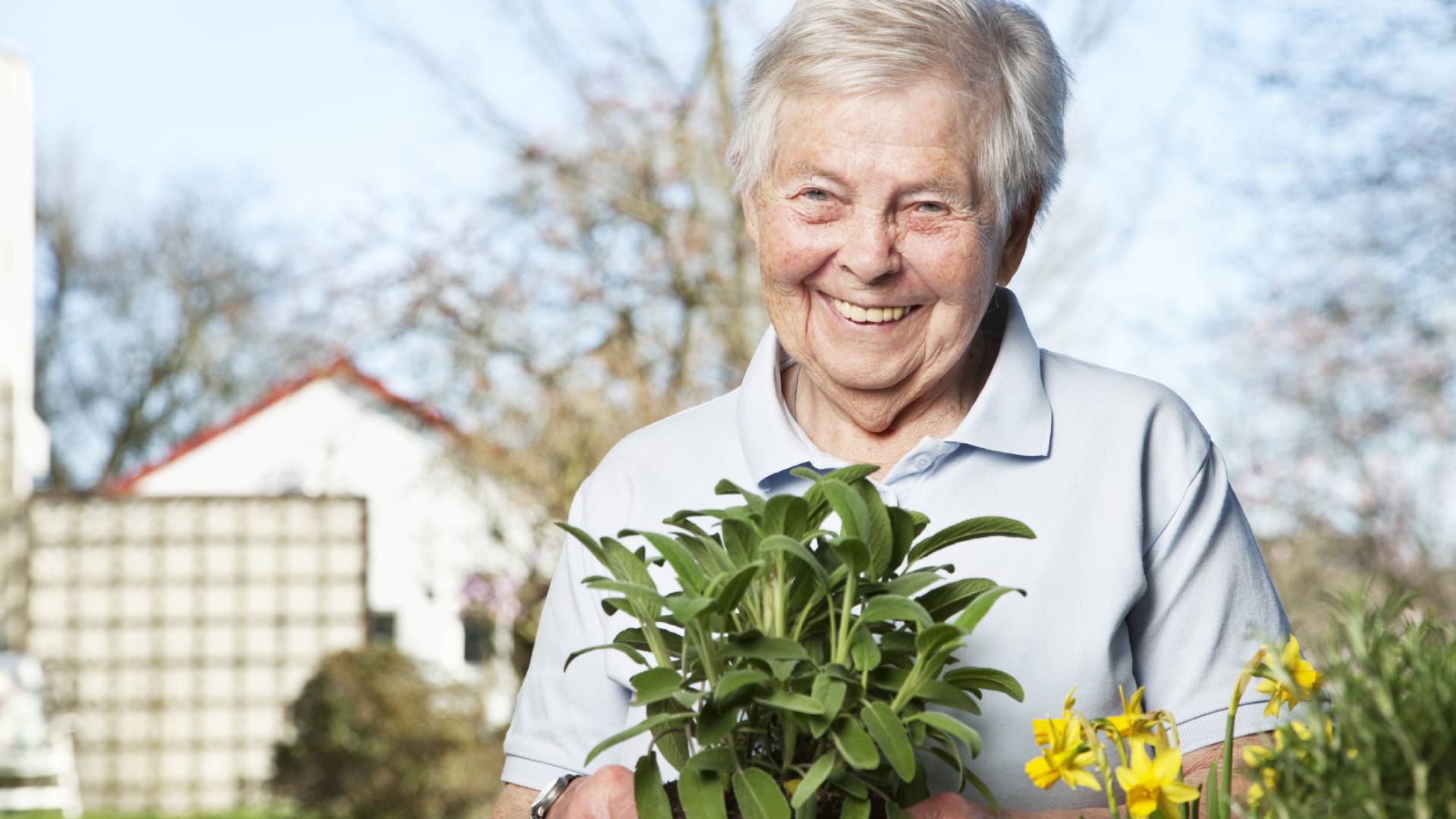 Rytuał na usunięcie pecha z użyciem nasion szałwii. Uwaga, jest 1 haczyk