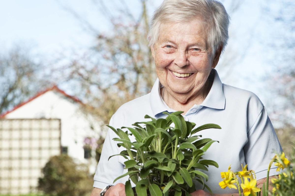 Rytuał na usunięcie pecha z użyciem nasion szałwii. Uwaga, jest 1 haczyk