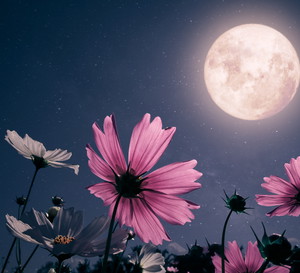 Prognoza astrologiczna 19-25 czerwca 2023. Przygotuj się na tydzień pełen wrażeń