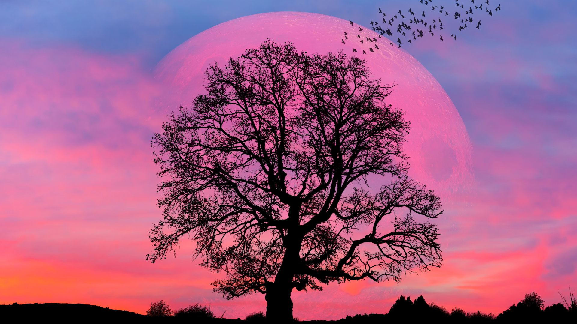 Tygodniowa prognoza astrologiczna 12-18 czerwca 2023