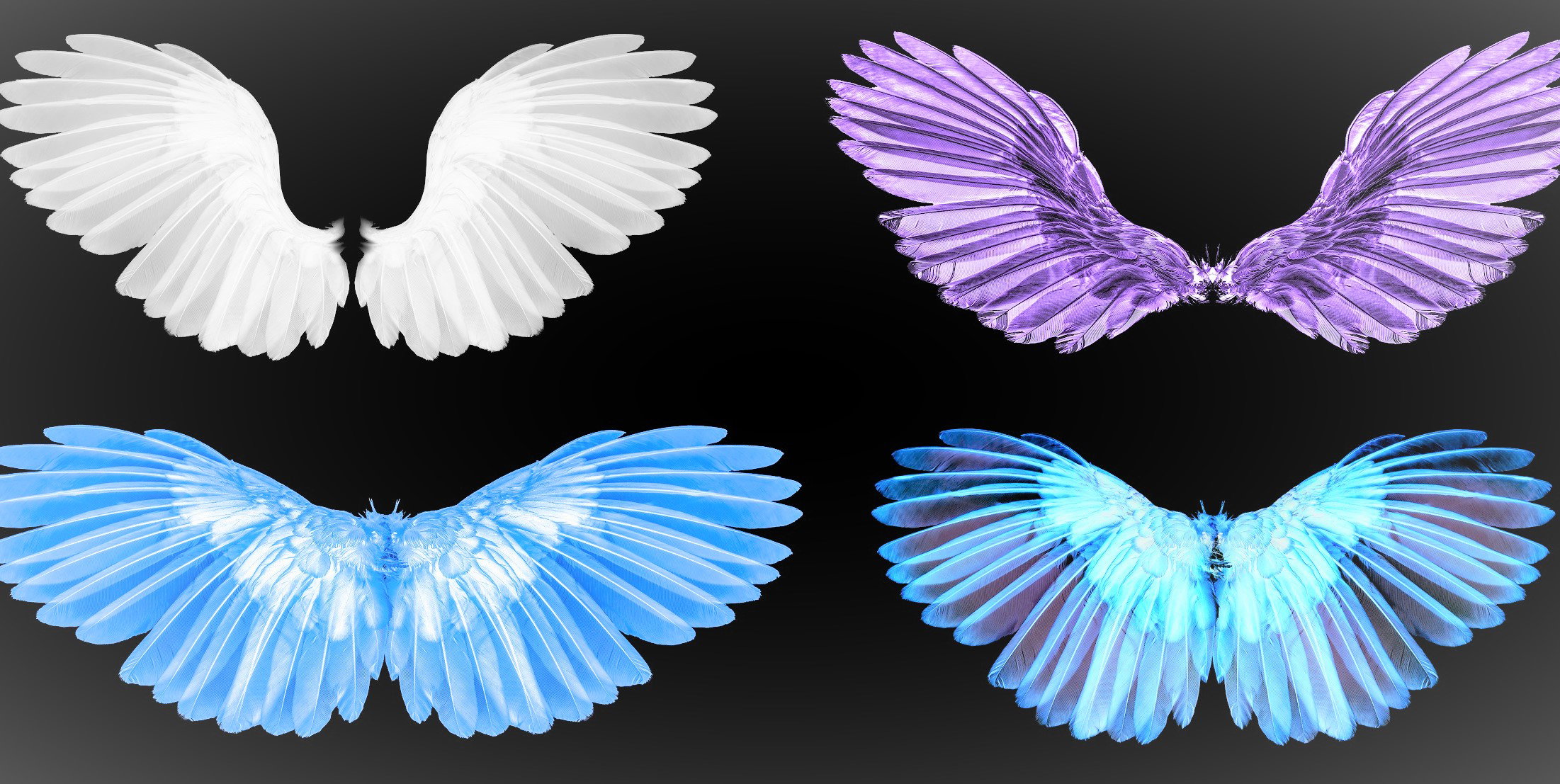 Które skrzydła zobaczyłaś jako pierwsze? Ten wybór to twoje anielskie przesłanie