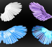 Które skrzydła zobaczyłaś jako pierwsze? Ten wybór to twoje anielskie przesłanie