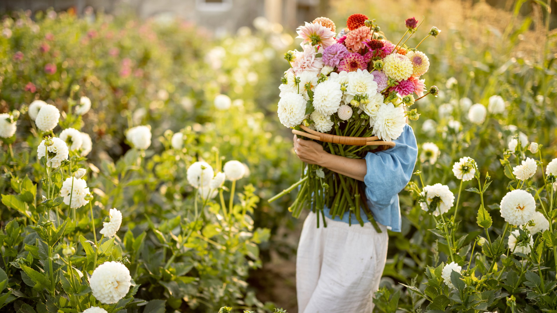 Zrób ten bukiet kwiatów w noc świętojańską. Przyciągniesz do siebie pieniądze i miłość