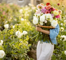 Zrób ten bukiet kwiatów w noc świętojańską. Przyciągniesz do siebie pieniądze i miłość