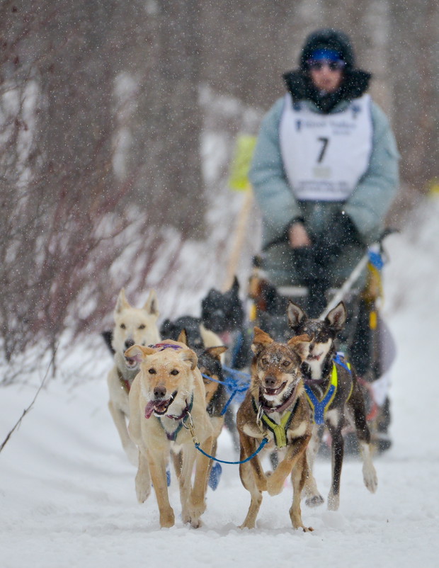 Witajcie na cholernej Arktyce: niezwykła historia dziewczyny, która zamieszkała na końcu świata