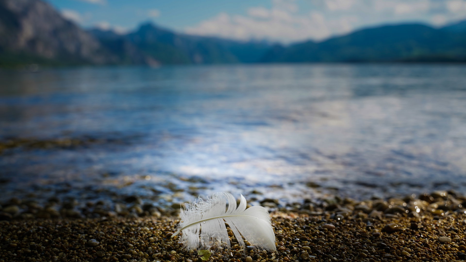Ten anioł to anioł lipca. Zaopiekuje się tobą, ale tylko pod 1 warunkiem