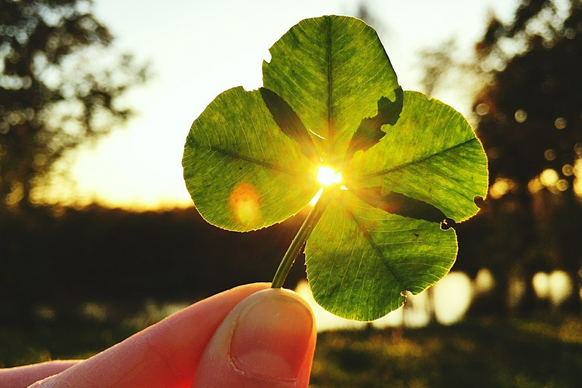 Z kim powinieneś spędzić wakacje? Wszystko zależy od twojego znaku zodiaku