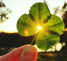 Z kim powinieneś spędzić wakacje? Wszystko zależy od twojego znaku zodiaku