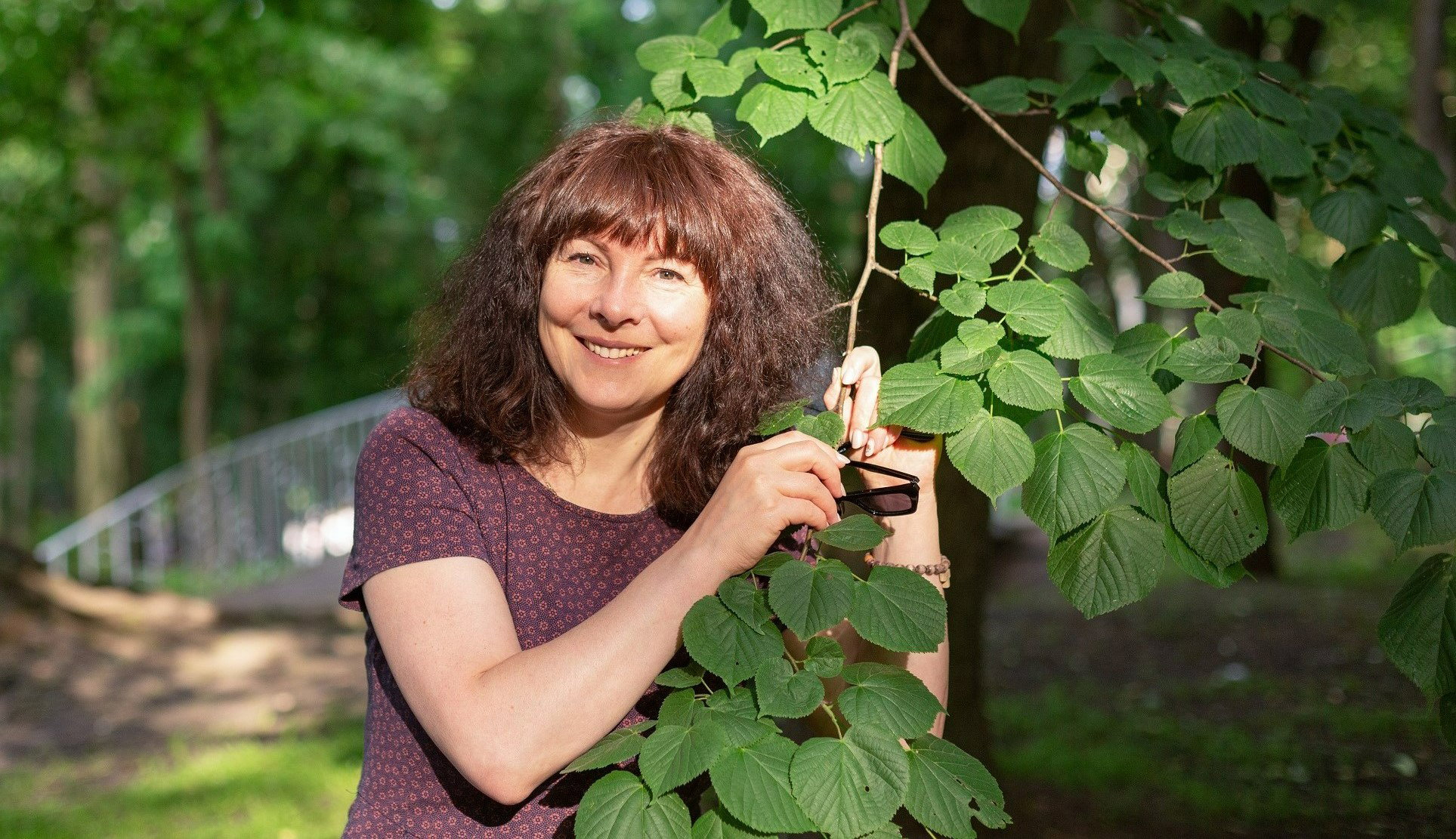 Przesąd na 28 czerwca: koniecznie zbierz kwiaty tej rośliny. Zapewnisz dostatek i ochronę przed złem