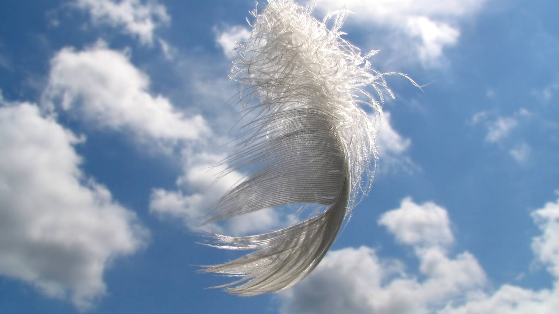 Karty anielskie na lipiec 2023