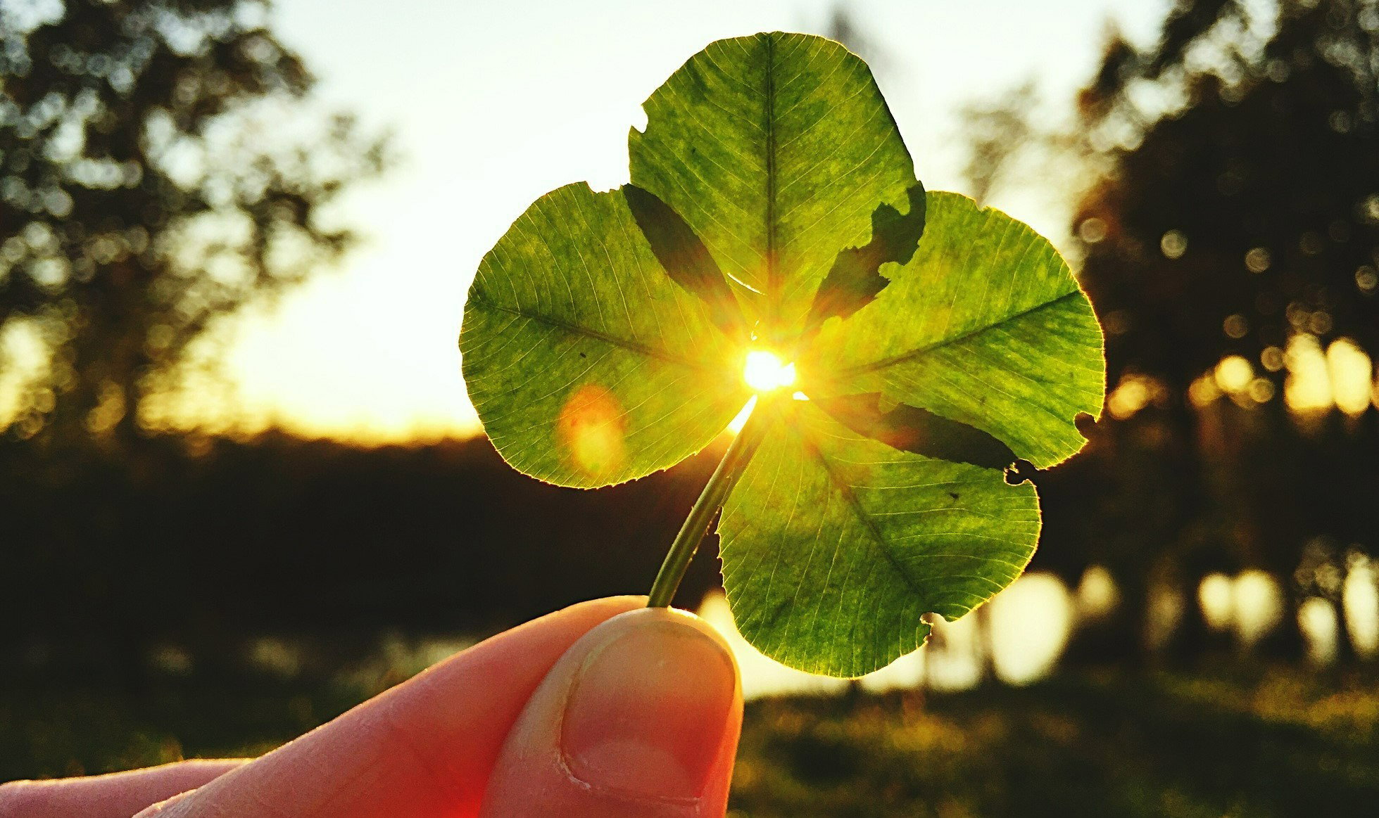Najszczęśliwsze dni w lipcu 2023. Kiedy spodziewać się pomyślnych wiatrów?