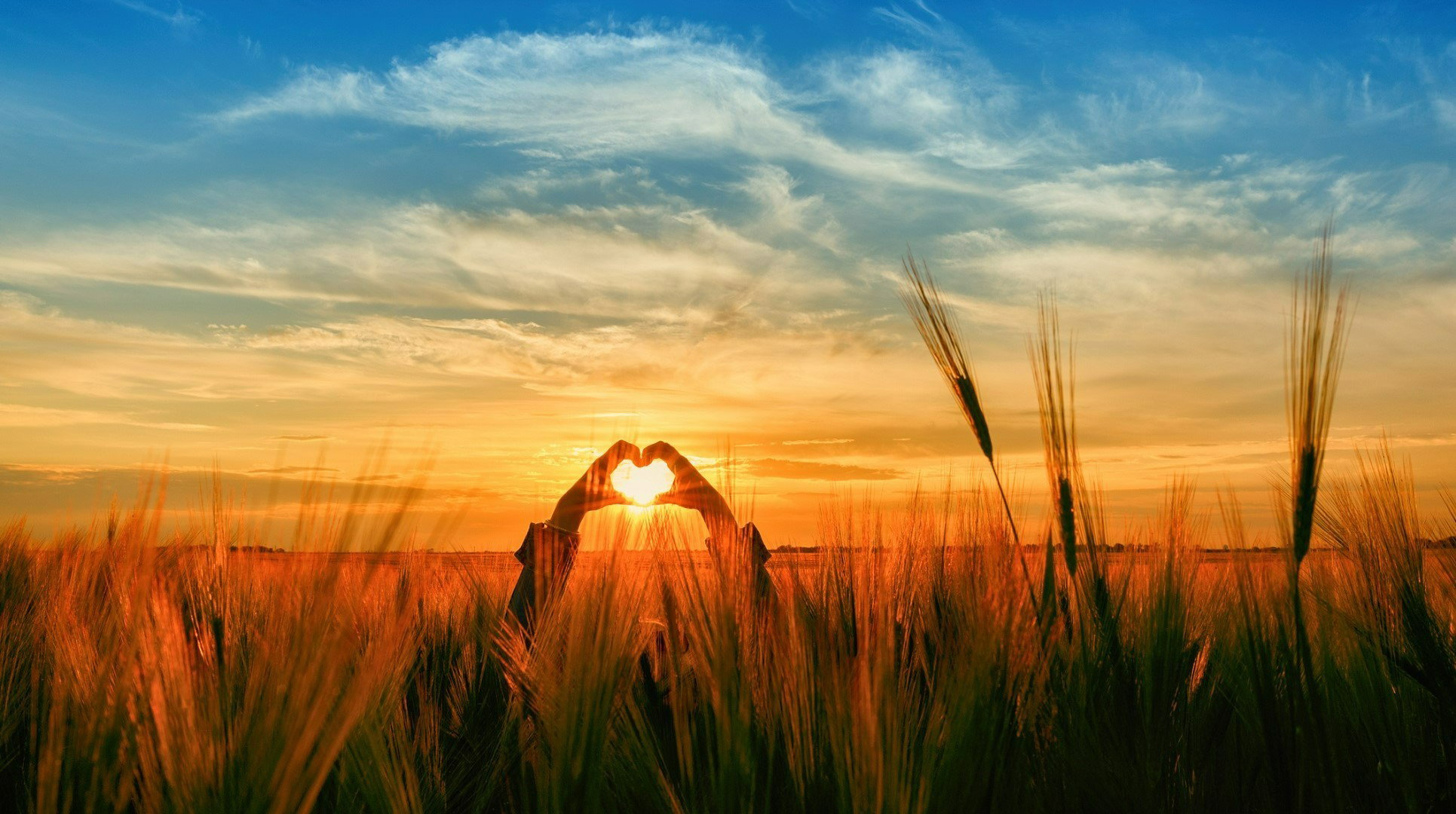 Nadchodzi czas beztroski i odnowy. Co jeszcze przynosi nam Słońce w znaku Raka?