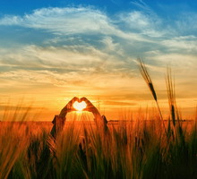 Nadchodzi czas beztroski i odnowy. Co jeszcze przynosi nam Słońce w znaku Raka?