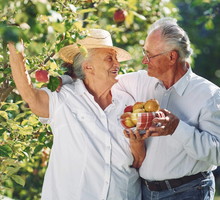 Rytuał Złotego Jabłka na pecha w miłości. Wystarczy 1 owoc, by odmienić swój los