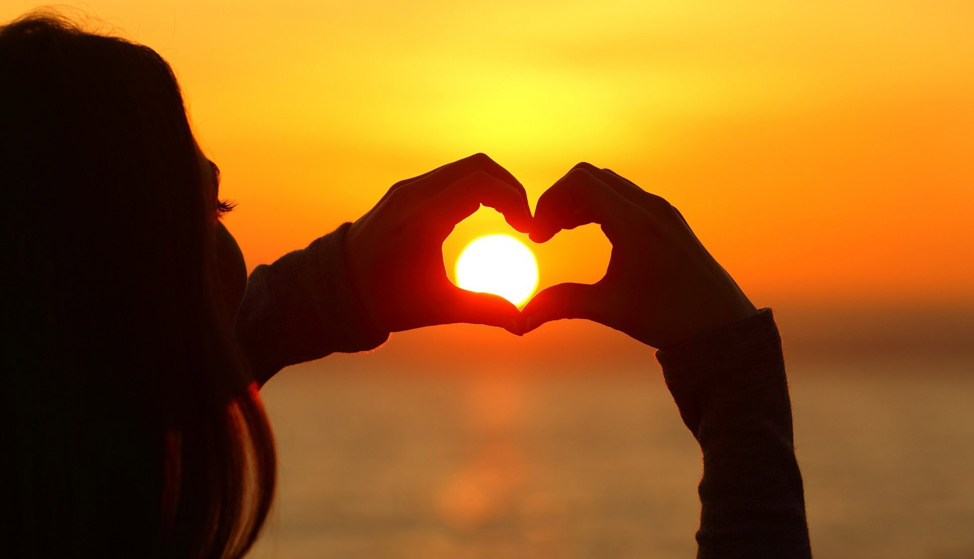 Horoskop na retrogradację Wenus w Lwie 22.07-04