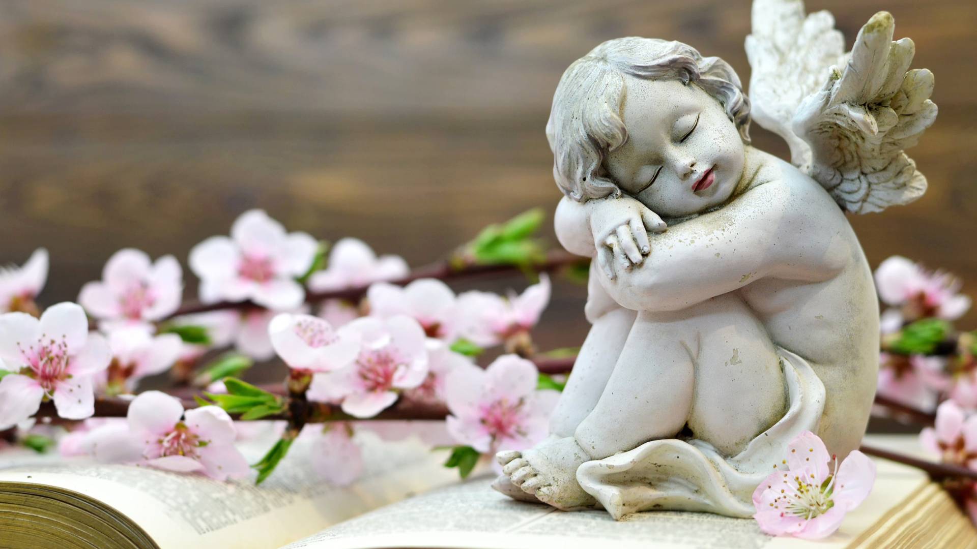 Karty anielskie na sierpień 2023