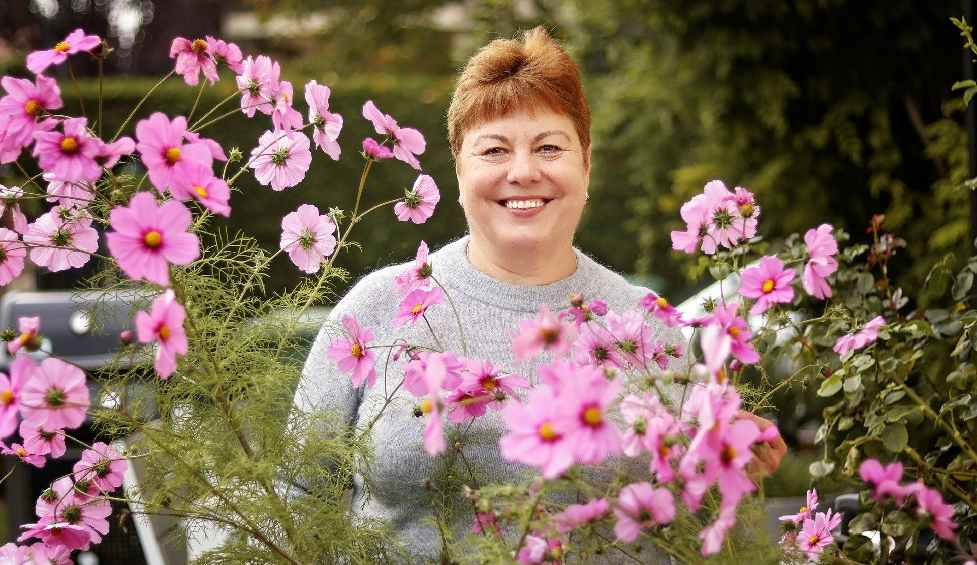 Kwiat kosmosu przywróci harmonię w twoim życiu. Coraz więcej Polek go hoduje