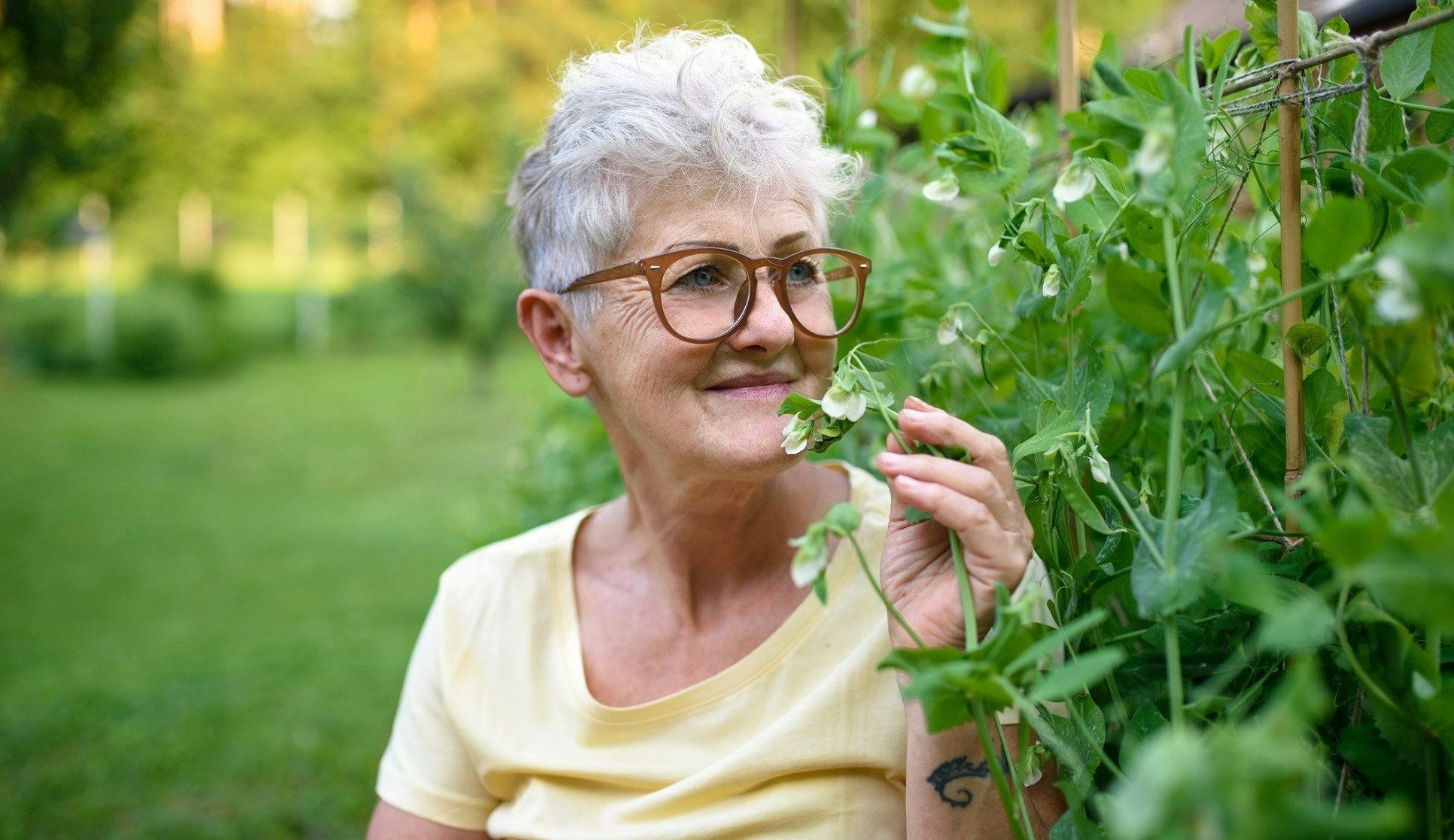 Ta letnia roślina wskaże, czy zakochasz się w tym roku. Liczy się tylko pierwszy wynik