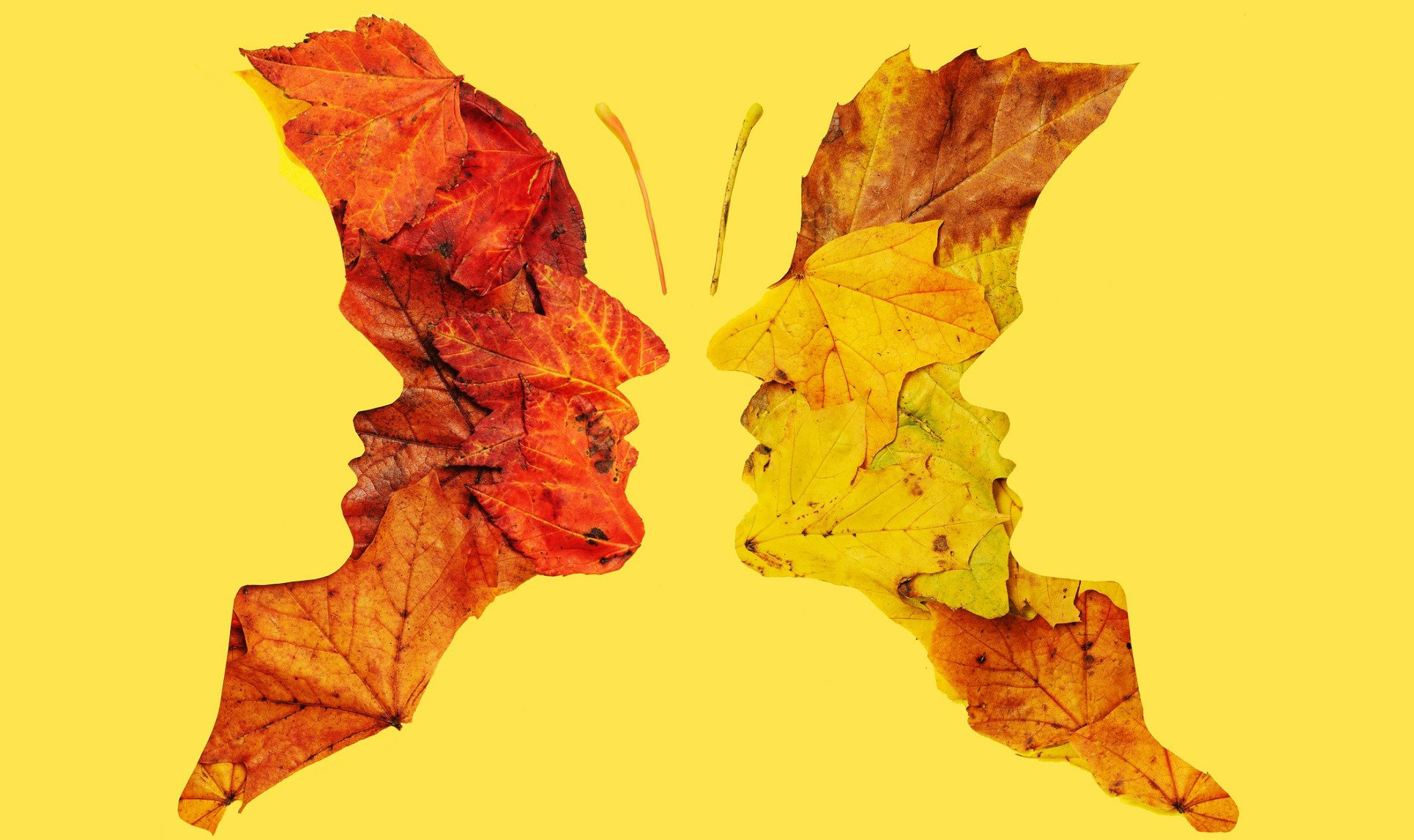 Co zobaczyłaś jako pierwsze na obrazku? Odpowiedź wskaże twój ukryty talent