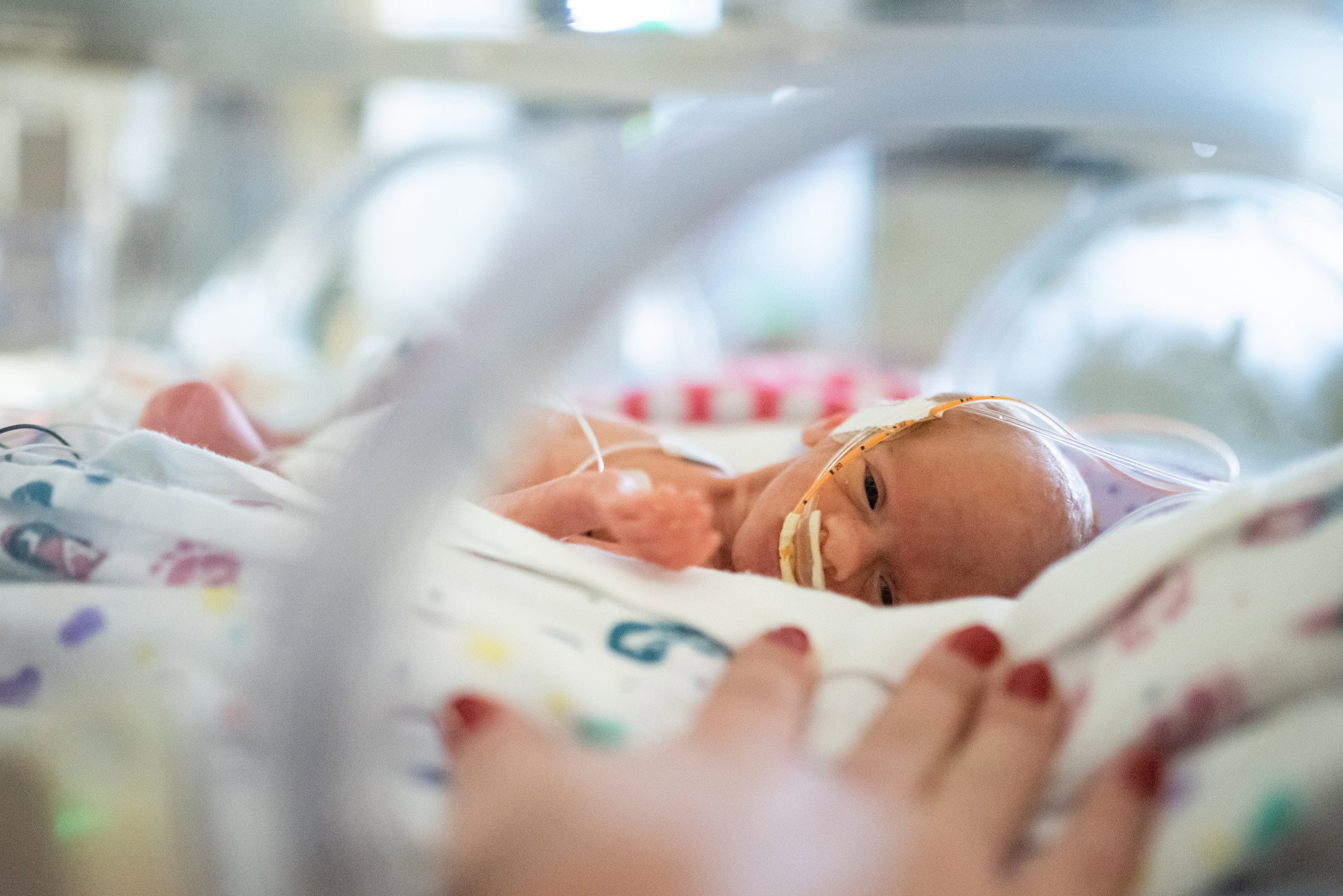 Noworodki w plastikowych torebkach. Zdziwicie się, jaką rolę pełni ta szokująca metoda!