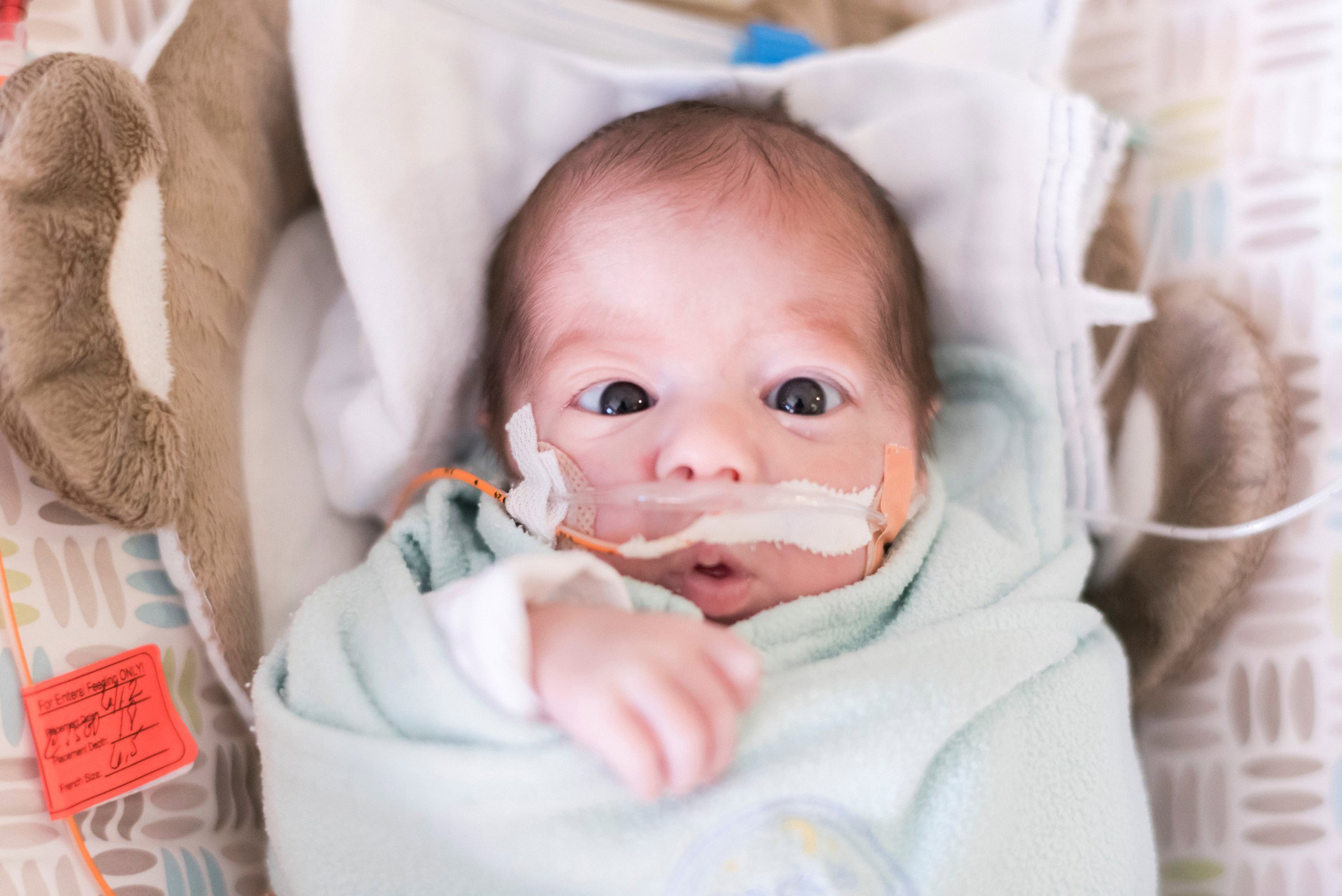 Światowy Dzień Wcześniaka