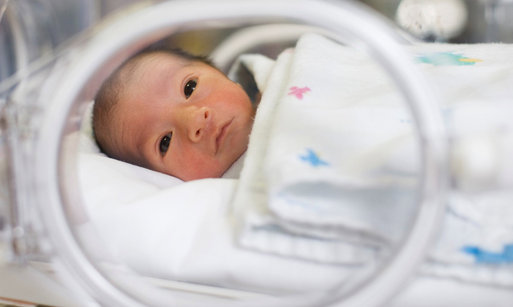 Pięcioraczki urodziły się w Poznaniu w 29. tygodniu ciąży. Jak czuje się rodzeństwo?